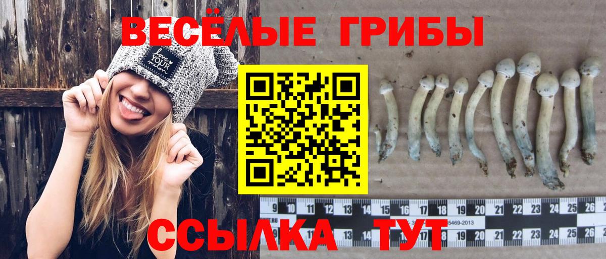 Псилоцибиновые грибы Psilocybine cubensis Калач-на-Дону